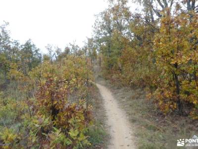 Robledales de Riaza - Ermita de Hontanares; como hacer amigos nuevos pantano burguillo tiempo en la 